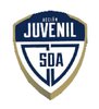 Acción Juvenil logo